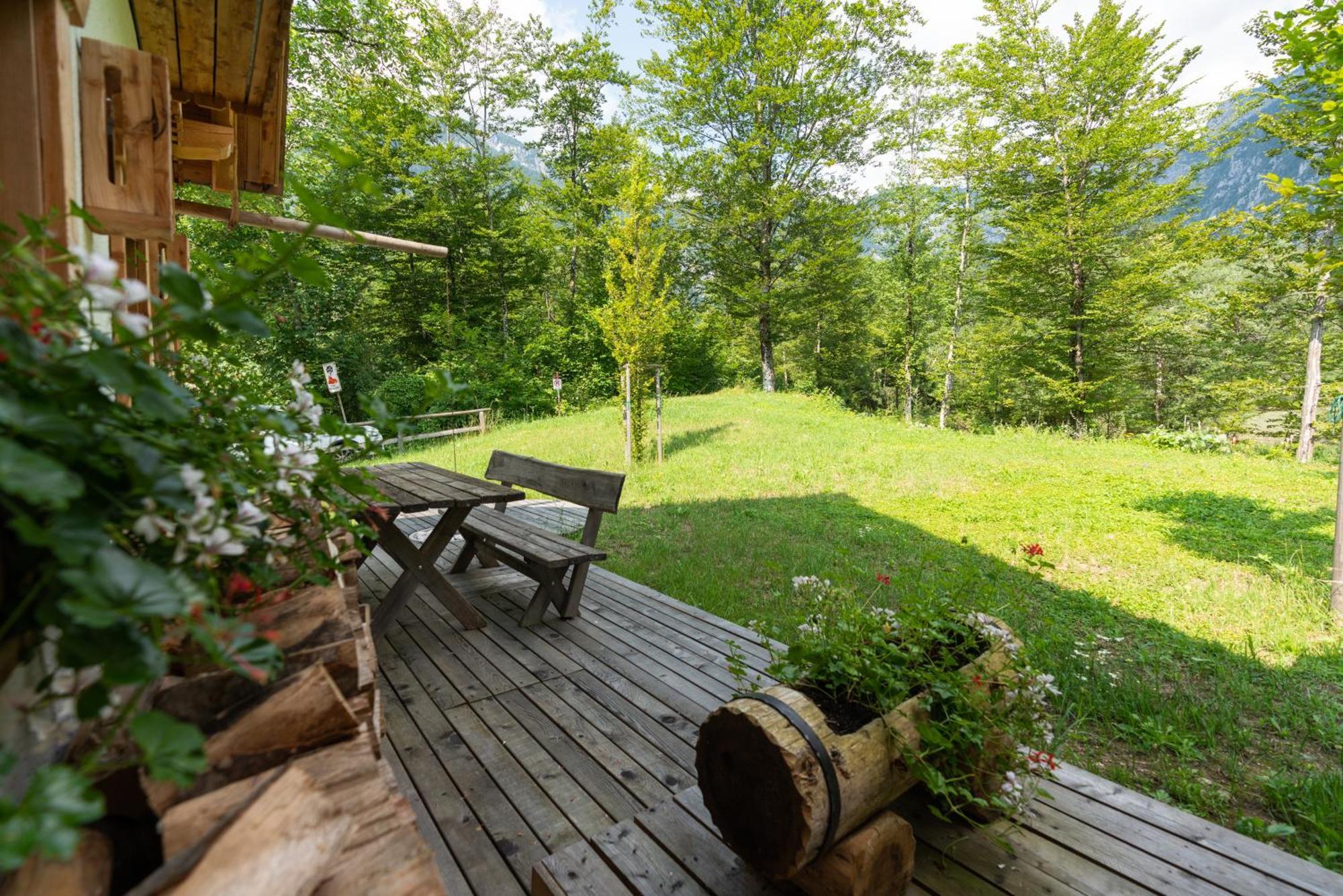 Alpik Chalets - Bohinj Exteriér fotografie